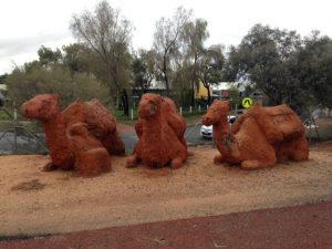 Camel sculptures