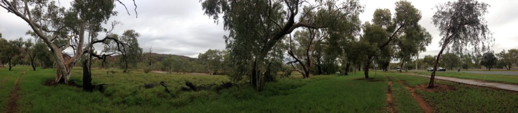 Landscape - Alice Springs