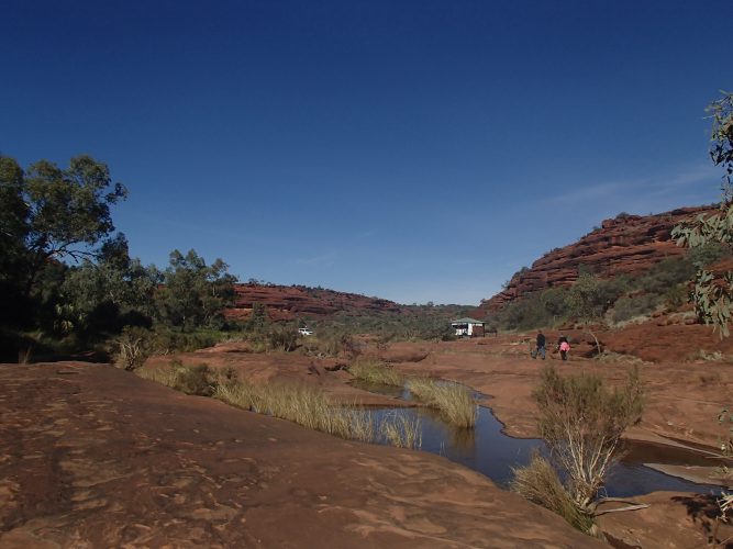 Palm Valley, Northern Territory